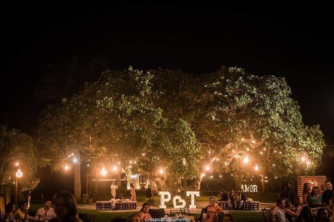 Foto da árvore principal do Arts, à noite. Diversas luzes penduradas criam um ambiente lindo